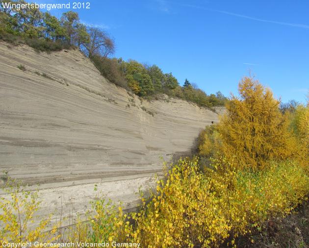 Wingertsbergwand 2012